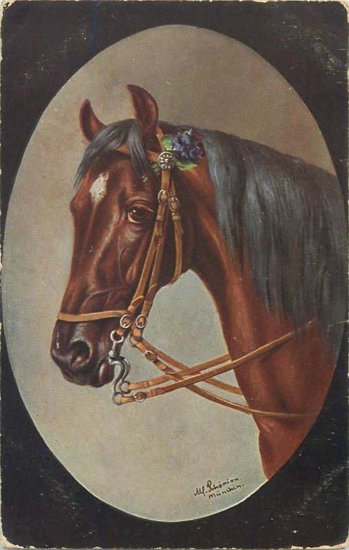 Horse M. Schonian artist signed old postcard