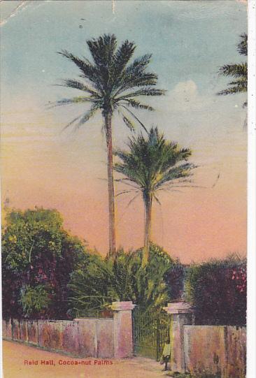 Bermuda Reid Hall Cocoanut Palms 1925