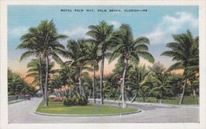 Florida Palm Beach Royal Palm Way