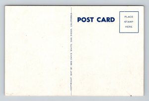 US Navy Destroyer USS BUCK DD-761 Navy Ship Postcard