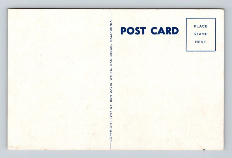 US Navy Destroyer USS BUCK DD-761 Navy Ship Postcard