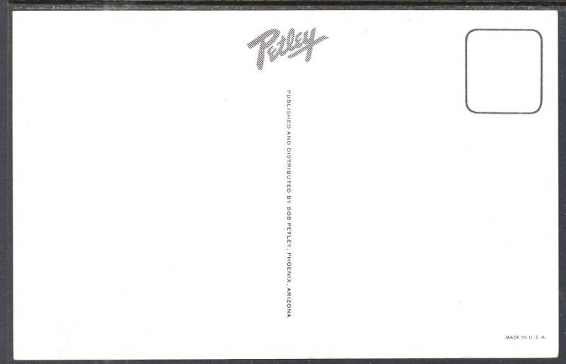 Greetings From Phoenix,AZ Cowboys BIN