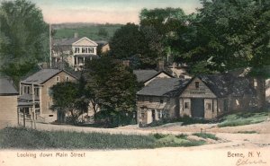 Vintage Postcard Looking Down Main Street Trees Landmark Berne New York A.E. Pub 