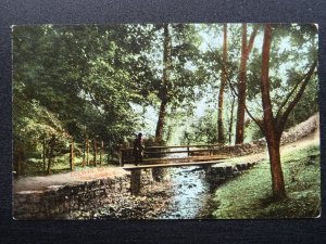 Wales Colwyn Bay THE DINGLE showing Foot Bridge c1908 Postcard by LP&FAP