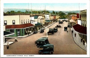 Postcard Kamehameha Avenue in Hilo, Hawaii~1892