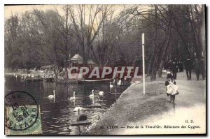 Postcard Old Lyon Park Tete d'Refectoire Swan