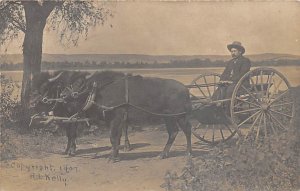 Man on Buffalo wagon Real Photo 1907 light corner wear, postal used 1907, Pos...