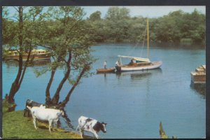 Norfolk Postcard - Salhouse Broad, Norfolk Broads    T2338