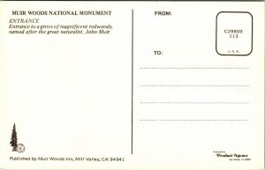 Muir Woods National Monument Entrance Redwoods Postcard VTG UNP Vintage Unused 