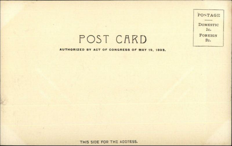 1904 Louisiana Purchase Expo Mogul Egyptian Cigarettes Advertising Postcard 7 