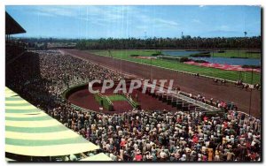 Old Postcard Hollywood Park Racetrack Horse Equestrian Horse