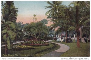 Florida Palm Beach Evening View In The Royal Poinciana Garden