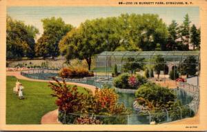 New York Syracuse Burnette Park Zoo 1943