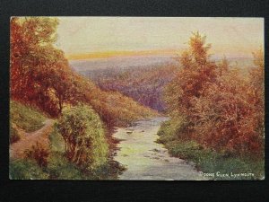 Devon LYNMOUTH Doone Glen c1907 Postcard by S. Hildesheimer & Co.