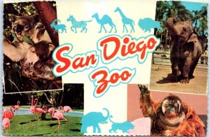 Postcard - San Diego Zoo, California, USA