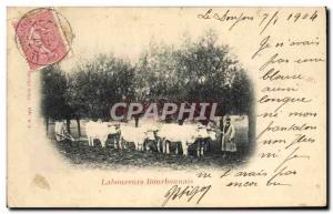 Postcard Old Hitch Laborers Bourbonnais Oxen