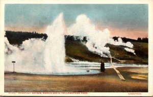 Yellowstone National Park Constant Geyser Haynes Photo