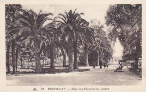 France Perpignan Allee des Palmiers au square