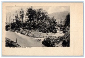 c1905 Mangles Junction Buller River New Zealand Unposted Antique Postcard