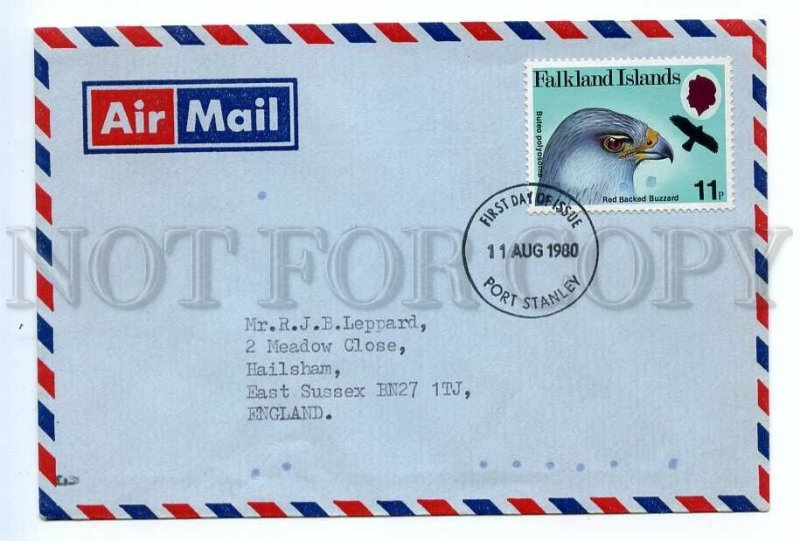 495506 Falkland Islands 1980 year fauna bird Red Backed Buzzard FDC