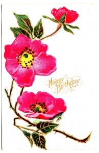 Wild Rose Branch, Happy Birthday, Embossed, Used 1910