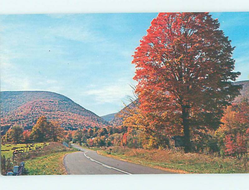 Pre-1980 CATSKILL MOUNTAINS Kingston & Poughkeepsie New York NY hJ6069