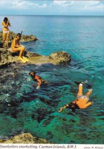 Cayman Islands Snorkellers Snorkelling