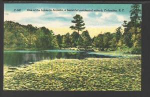 One of the Lakes in Arcadia SC Postcard 5558