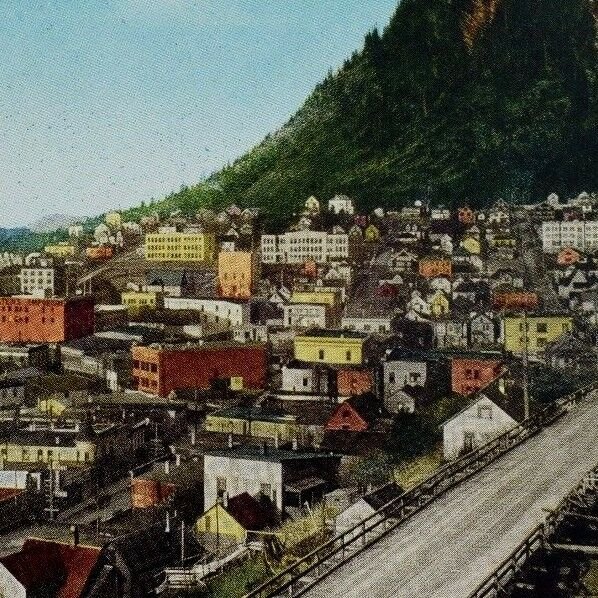 Vintage Bird's Eye View Juneau, Alaska Postcard P47