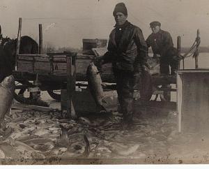 1904-1918 RPPC Fishing Fisherman Men Occupational Dock Haul Real Photo Postcard