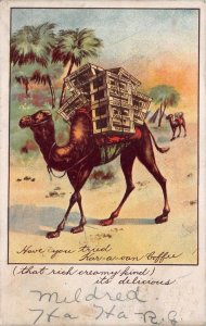 KAR-A-VAN COFFEE CAMEL ADVERTISING POSTCARD (c. 1905)