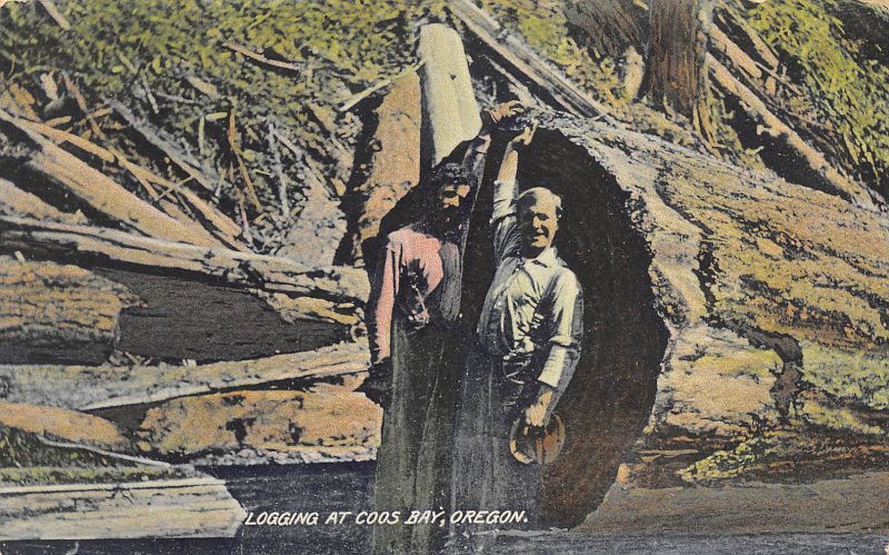 Logging at Coos Bay Oregon 1910c postcard