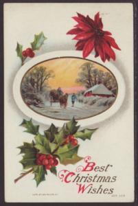 Best Christmas Wishes,Holly,Poinsettia,Horse Postcard 
