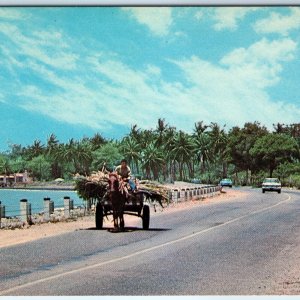 c1960s Salinas Puerto Rico PR Sugar Cane Vendor Roadside Horse Carriage Car A231