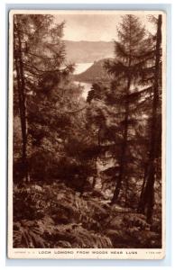 Postcard Loch Lomond from Woods near Luss, UK posted 1949  D10