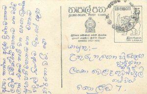 Entier Postal Stationery Postal Sri Lanka Ceylon Lion