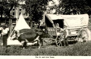 Ezra Meeker and the Cow and Ox Team