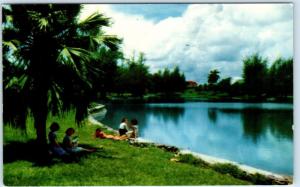 MARIANAO, HAVANA, CUBA   Lago en el COUNTRY CLUB LAKE  Vintage Postcard