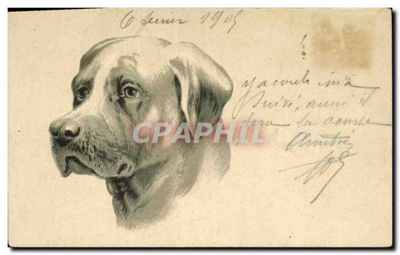 Postcard Old Dog Dogs Puppy