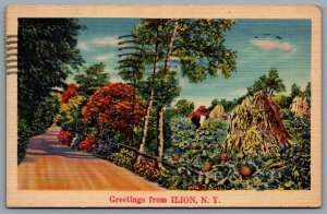 Postcard Ilion NY c1945 Greetings From Ilion Scenic View CDS Cancel Oneida NU