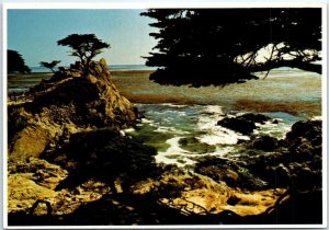 Postcard - Cypress Point - Monterey, California