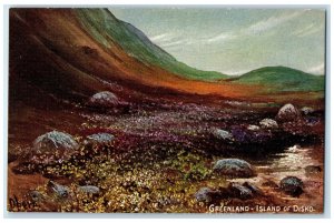 c1910 Arctic Flowers Greenland Island of Disko Oilette Tuck Art Postcard