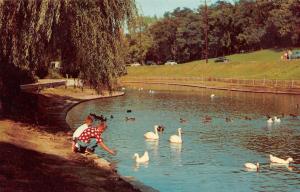 ROCKFORD, IL  Illinois  SINNISSIPPI PARK LAGOON  Boys & Geese   c1950's Postcard