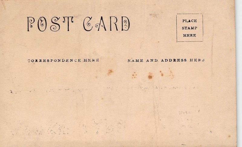 DS1/ Traverse City Michigan RPPC Postcard c1910 Boardman River Mill 75