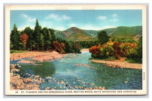 Mount Pleasant Ammondoosuc River White Mountains NH UNP  Linen Postcard Y10