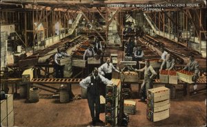 California Orange Packing House Interior Agriculture c1920 Vintage Postcard