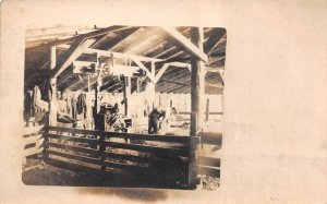 Ranch Farm Scene Shearing Sheep Real Photo Vintage Postcard AA74679