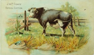 J & P Coats Six Cord Thread The Frogs & The Bull Fable Meadow Scene Nice! P77