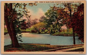 Waukegan Illinois ILL, View in Glen Flora Country Club, Nature, Vintage Postcard