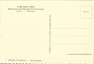 israel palestine, Scraping for Orange Plantations (1930s) Tmunia Postcard 202